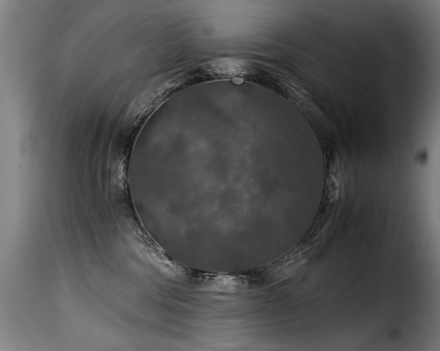 X0000116000330200911191430