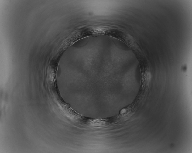 X0000116000331200911191430