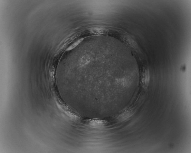 X0000116000332200911191430