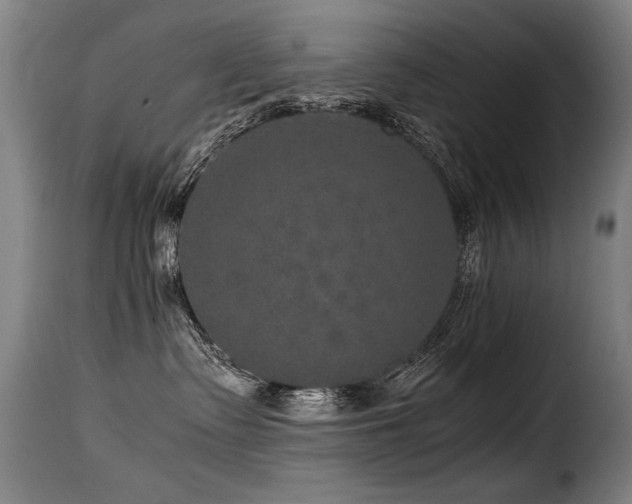 X0000116000335200911191430