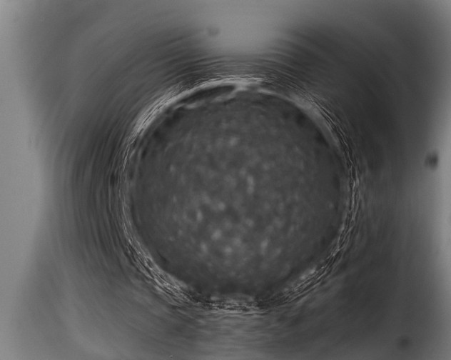 X0000116000337200911191429