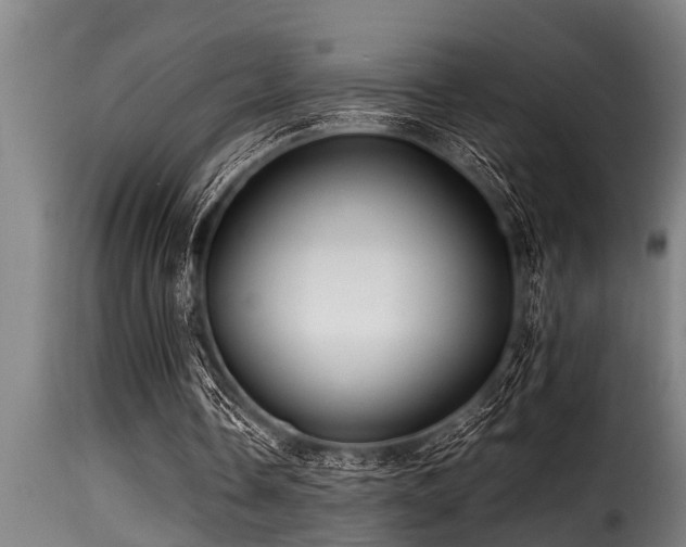 X0000116000338200911191429