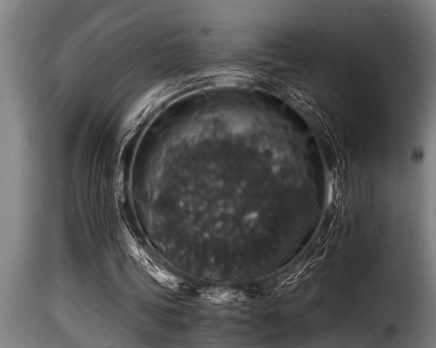 X0000116000339200911191429