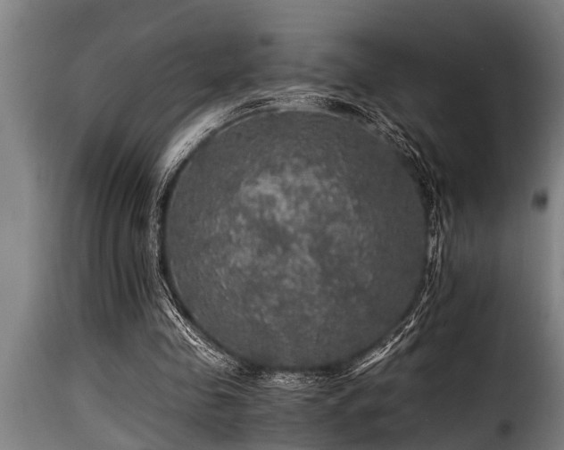 X0000116000341200911191429