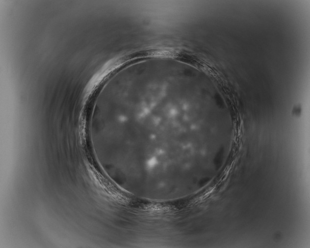 X0000116000343200911191429