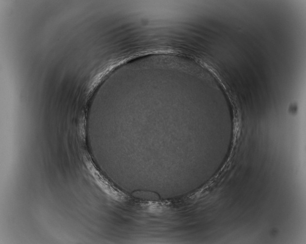 X0000116000345200911191429