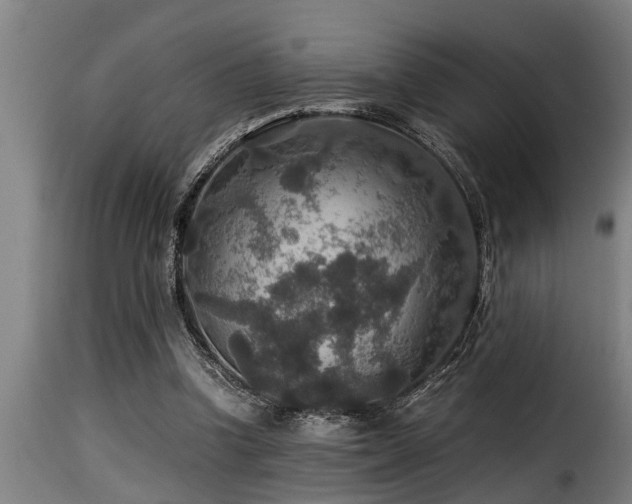 X0000116000346200911191429