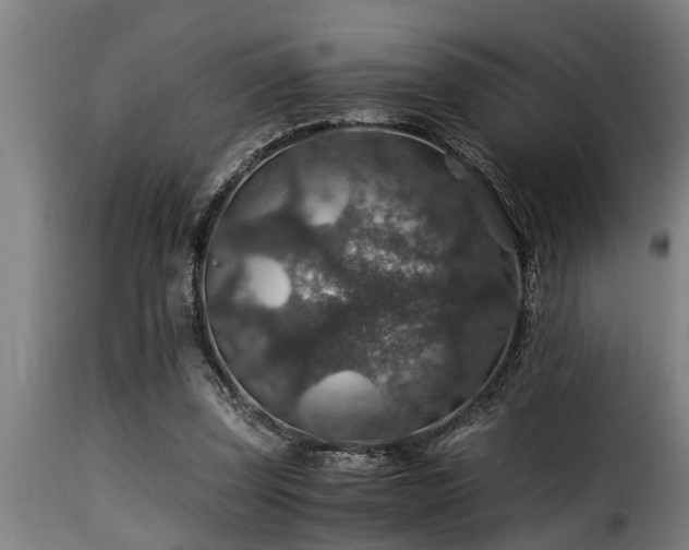 X0000116000347200911191429