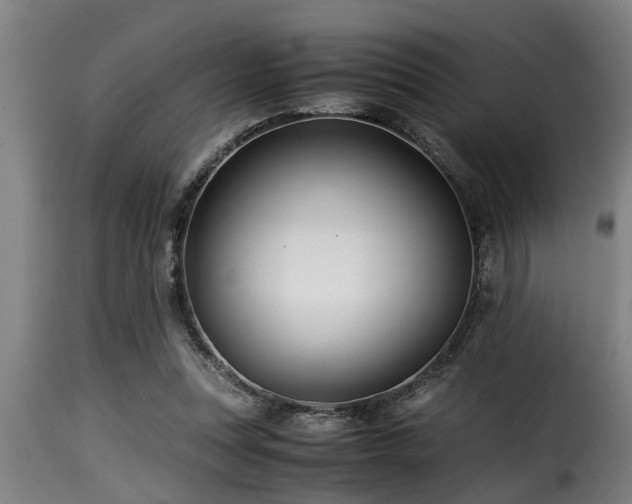 X0000116000351200911191429