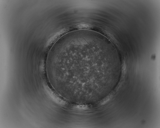 X0000116000353200911191429