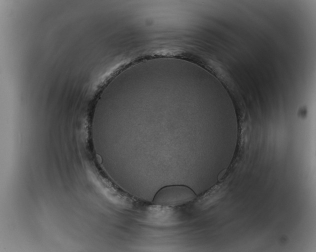 X0000116000354200911191429