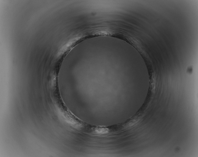 X0000116000355200911191429