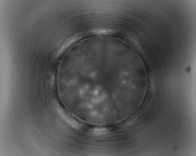 X0000116000357200911191429