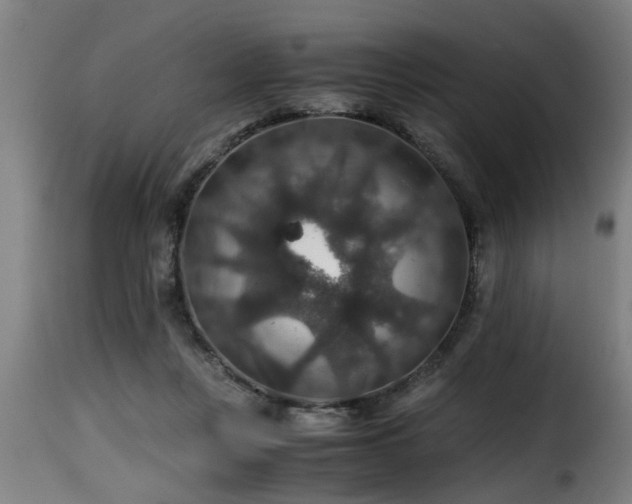 X0000116000359200911191429