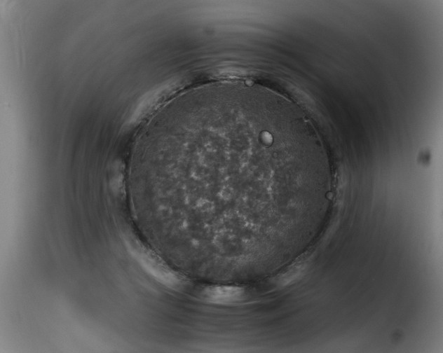 X0000116000361200911191429