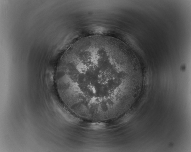 X0000116000363200911191429