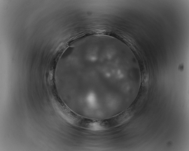 X0000116000365200911191429