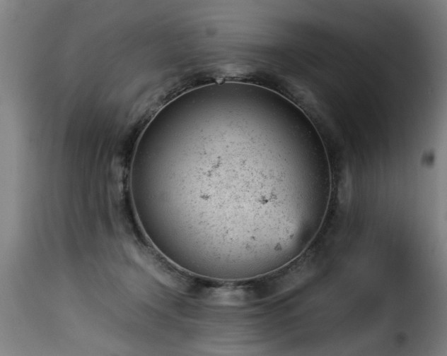 X0000116000366200911191429