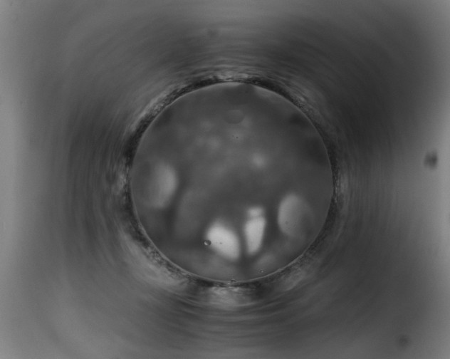 X0000116000367200911191430