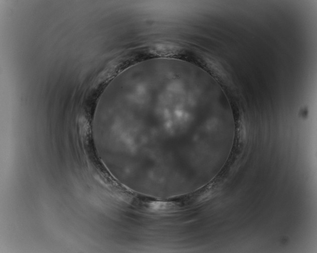 X0000116000371200911191430