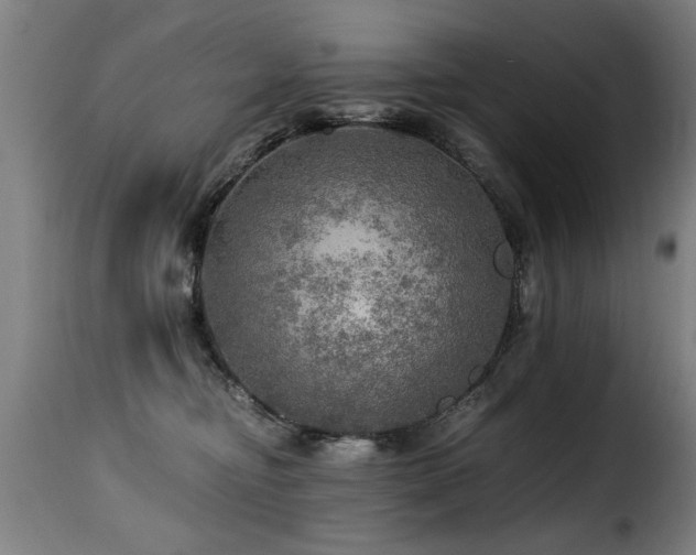 X0000116000374200911191430