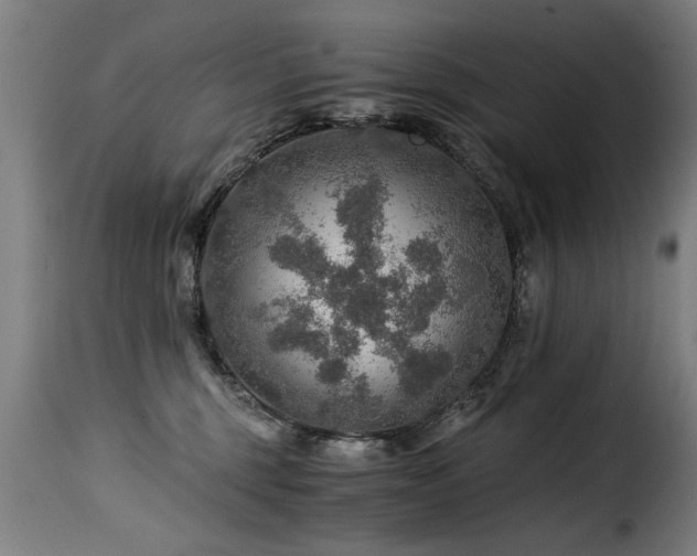 X0000116000375200911191430