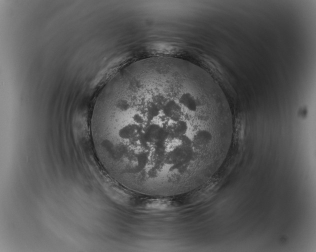 X0000116000377200911191430