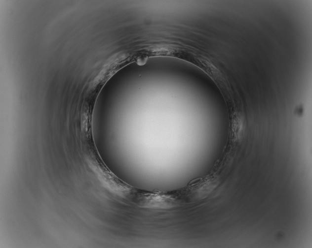 X0000116000379200911191430