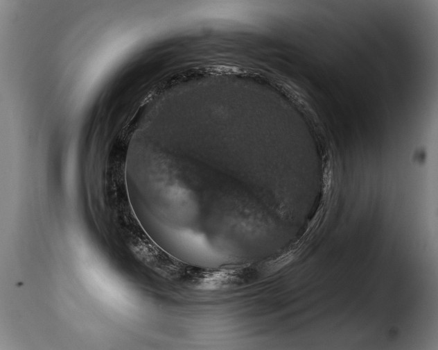 X0000116000382200911191430