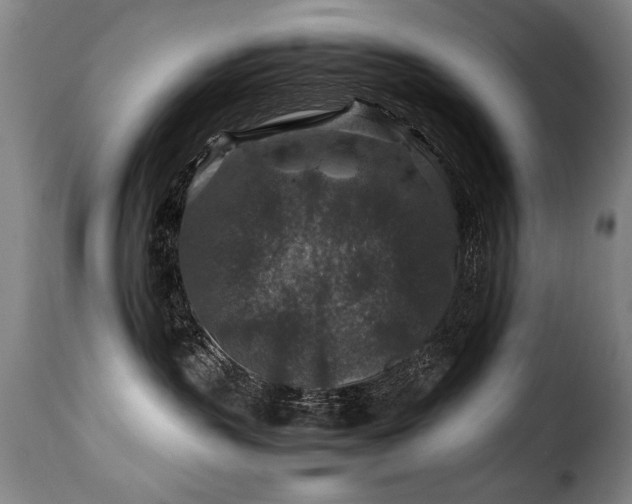 X0000116000383200911191430