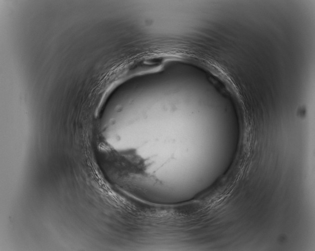 X0000116000385200911191429