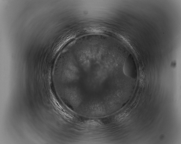 X0000116000386200911191429