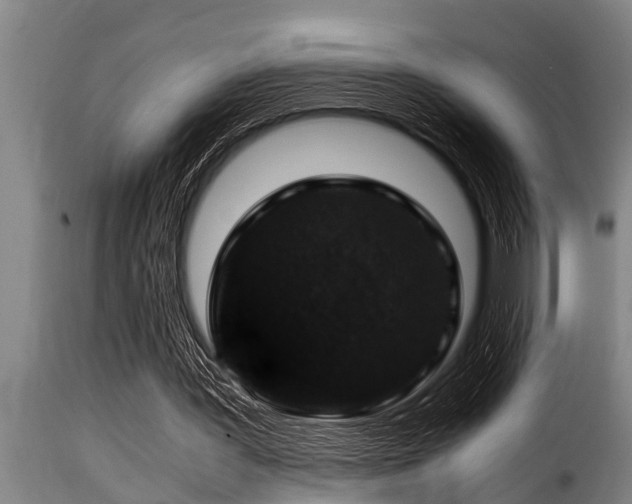 X0000116000387200911191429