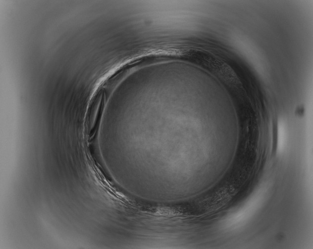 X0000116000388200911191429