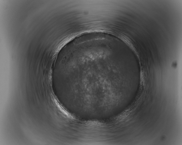 X0000116000389200911191429