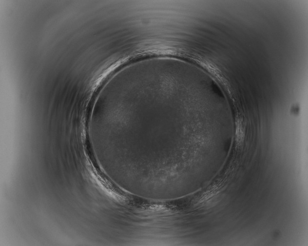 X0000116000390200911191429