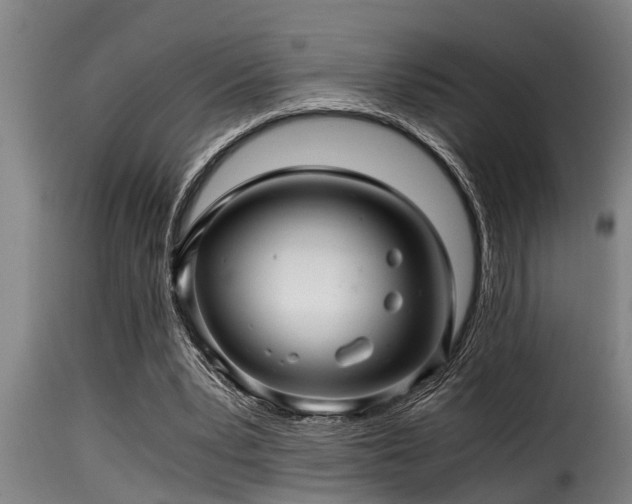 X0000116000391200911191429