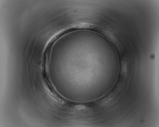 X0000116000392200911191429