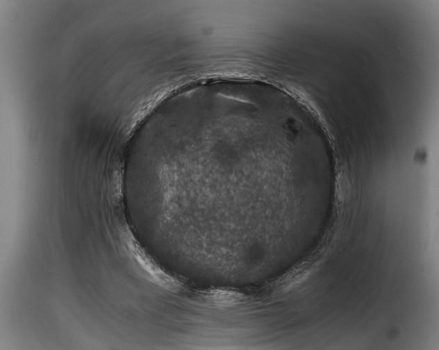 X0000116000393200911191429