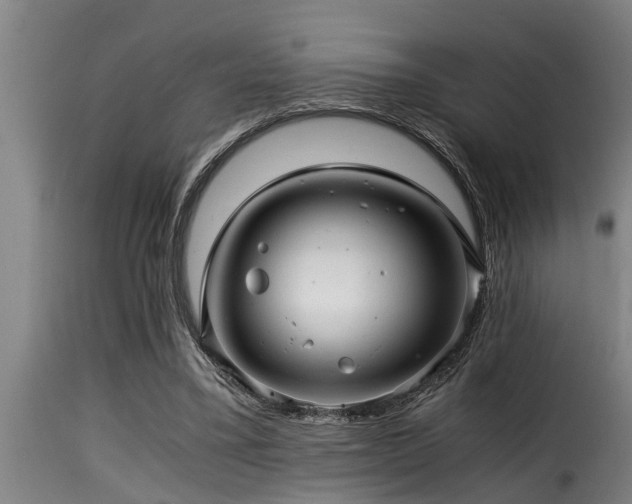 X0000116000395200911191429