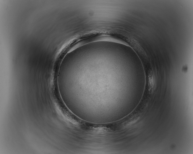 X0000116000396200911191429