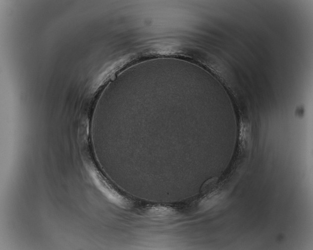 X0000116000397200911191429