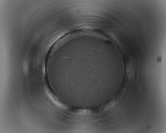 X0000116000398200911191429