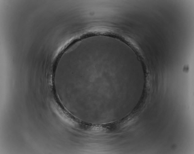 X0000116000399200911191429