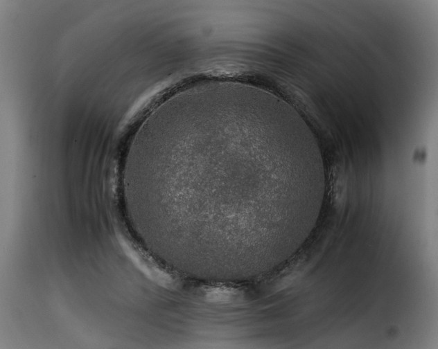 X0000116000400200911191429