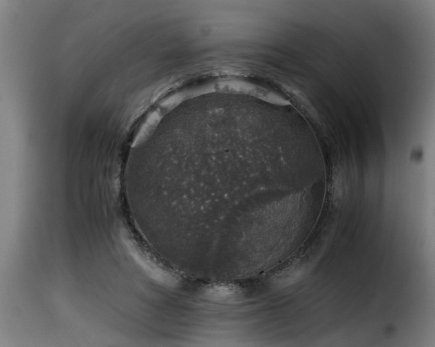 X0000116000402200911191429