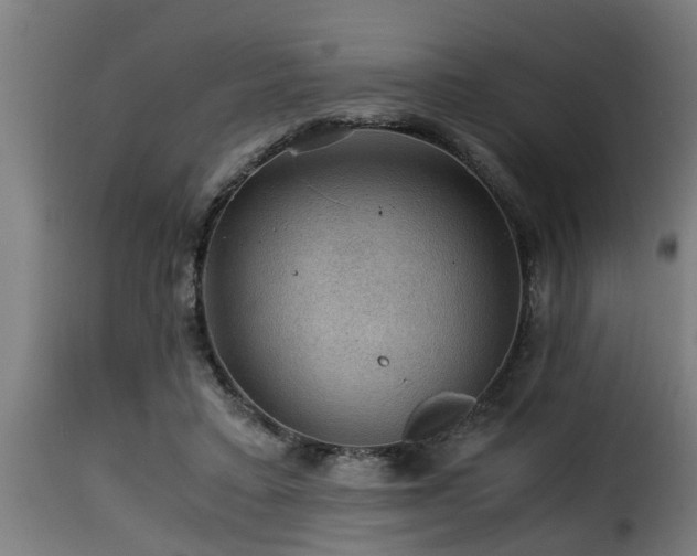 X0000116000403200911191429