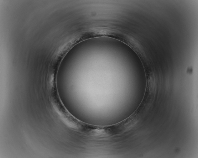 X0000116000406200911191429