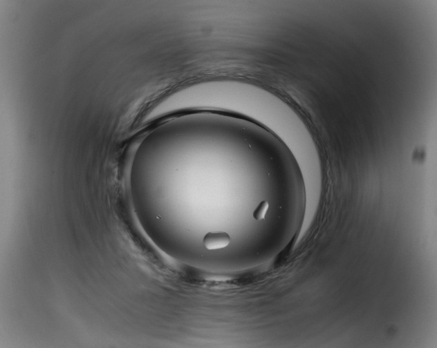 X0000116000407200911191429