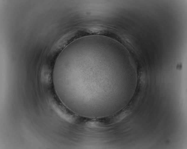 X0000116000408200911191429